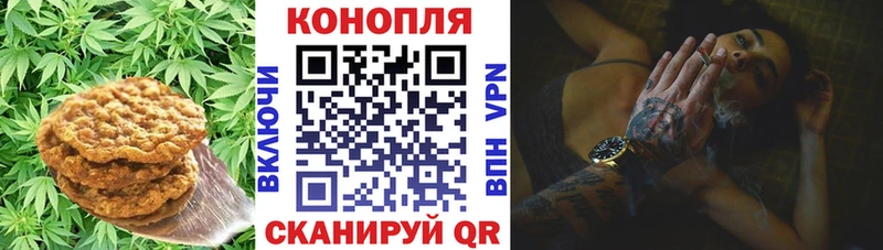 купить   Шенкурск  Cannafood конопля 