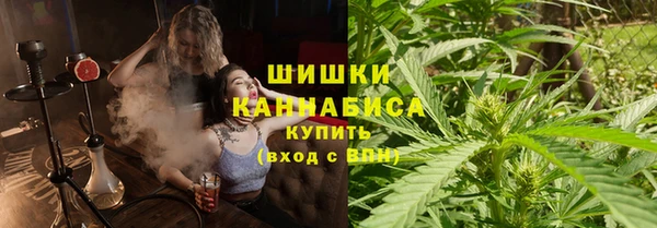 spice Горнозаводск